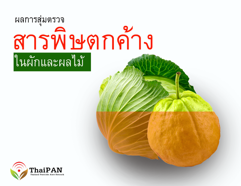 thaipan press 591006 web02
