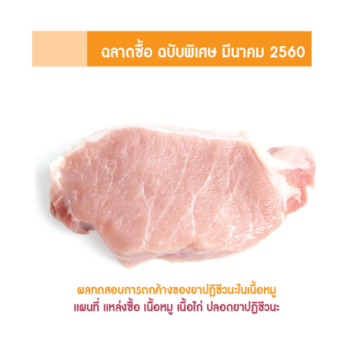 Antibiotics test in pork brochure cover
